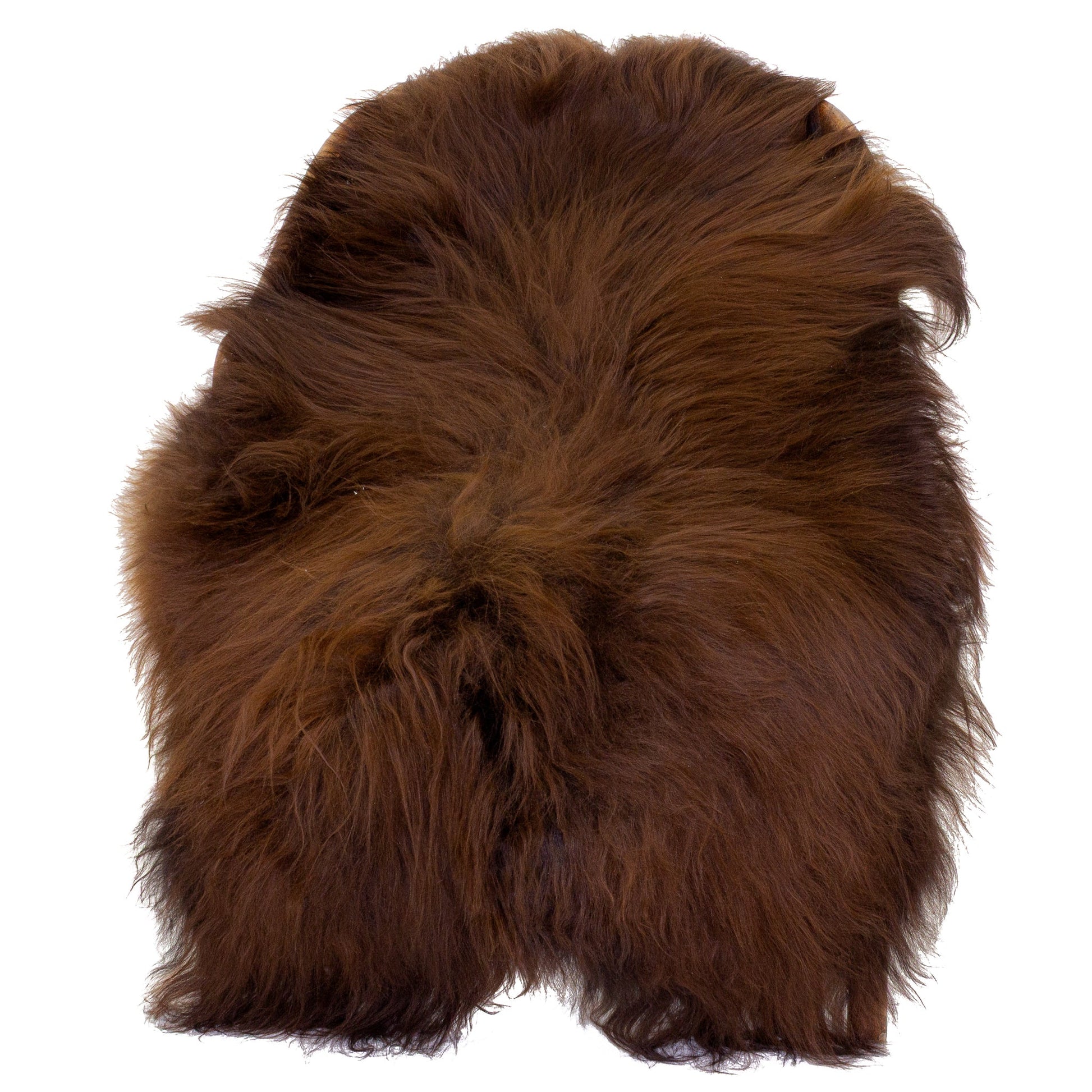 Black Lightened to Auburn Icelandic Sheepskin