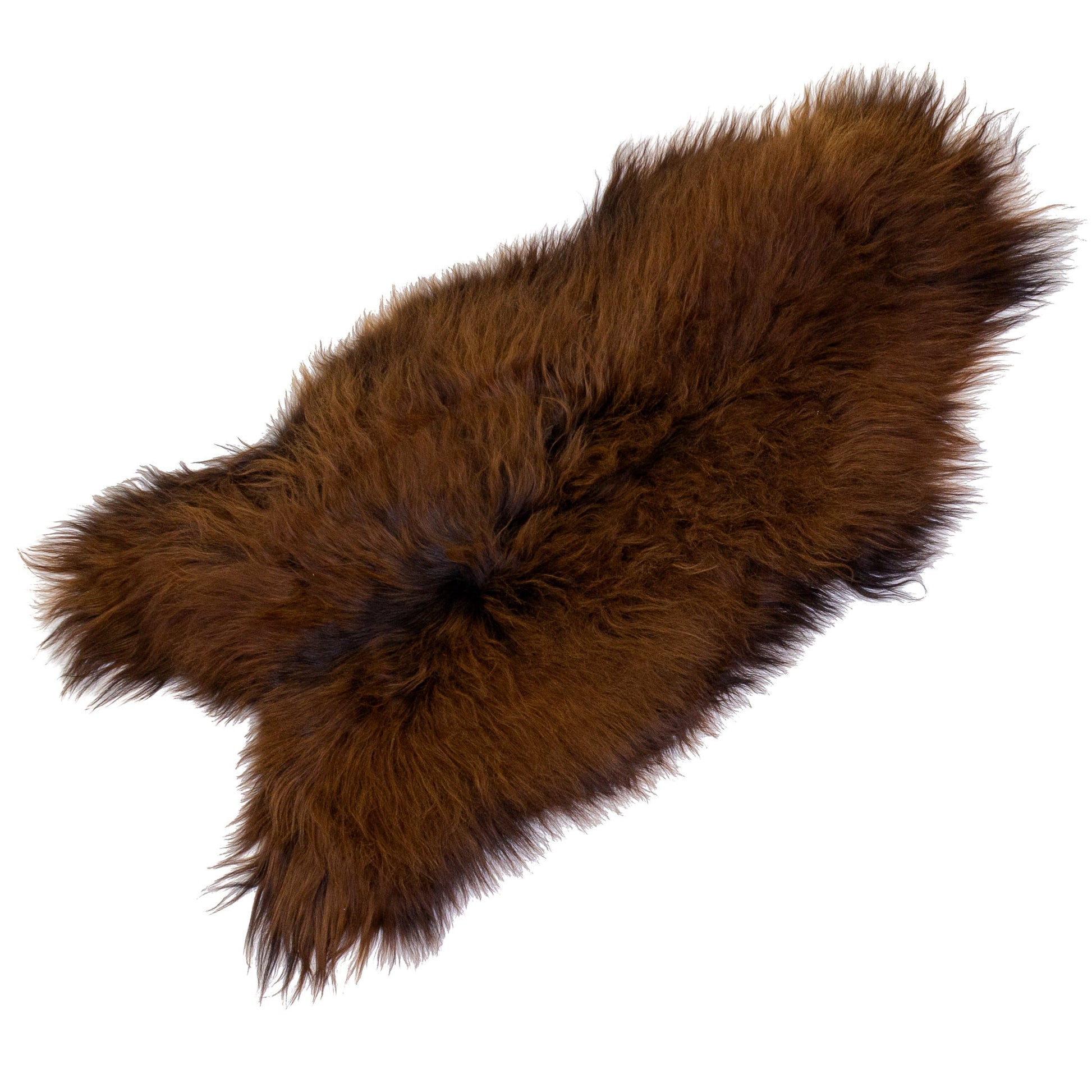 Black Lightened to Auburn Icelandic Sheepskin