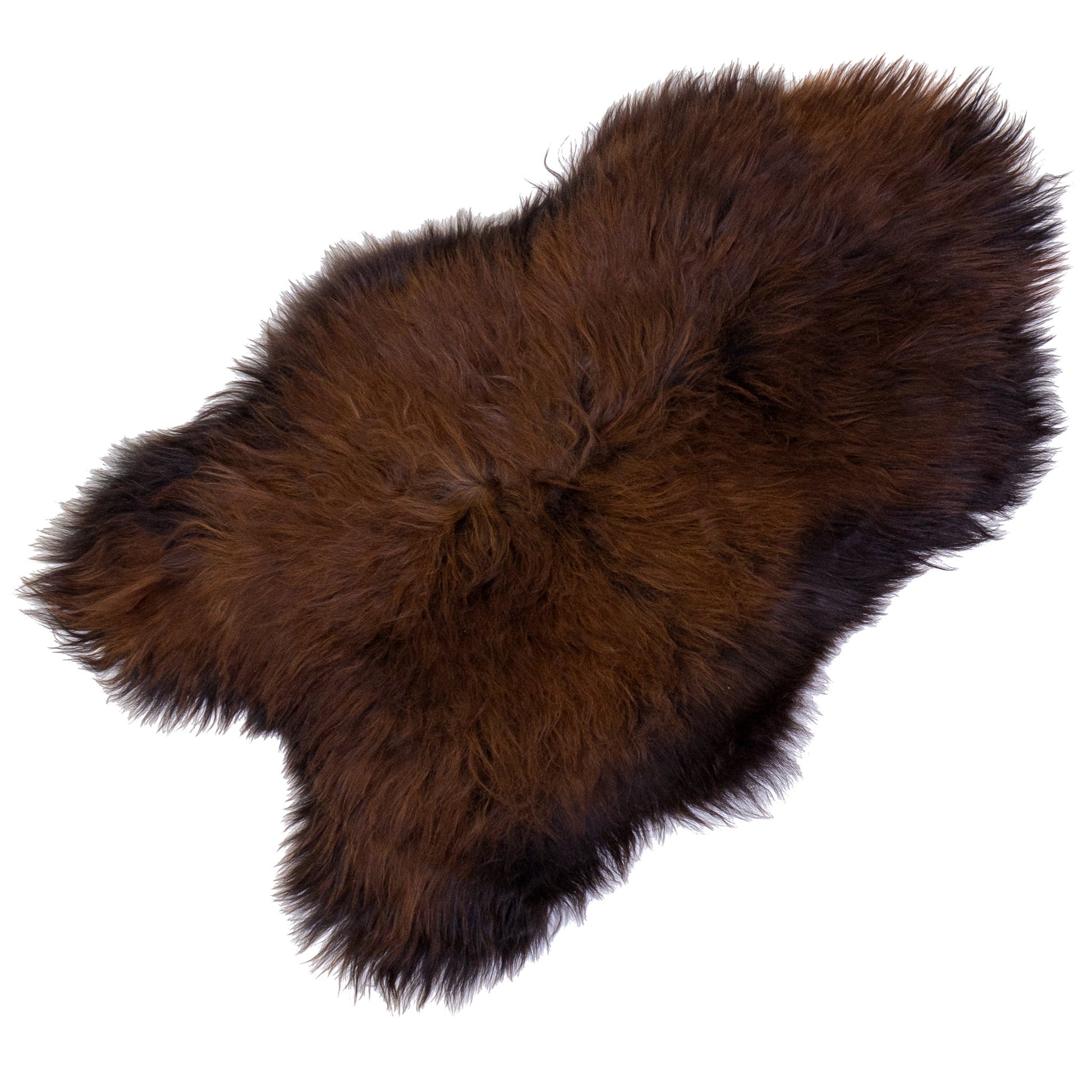 Black Lightened to Auburn Icelandic Sheepskin
