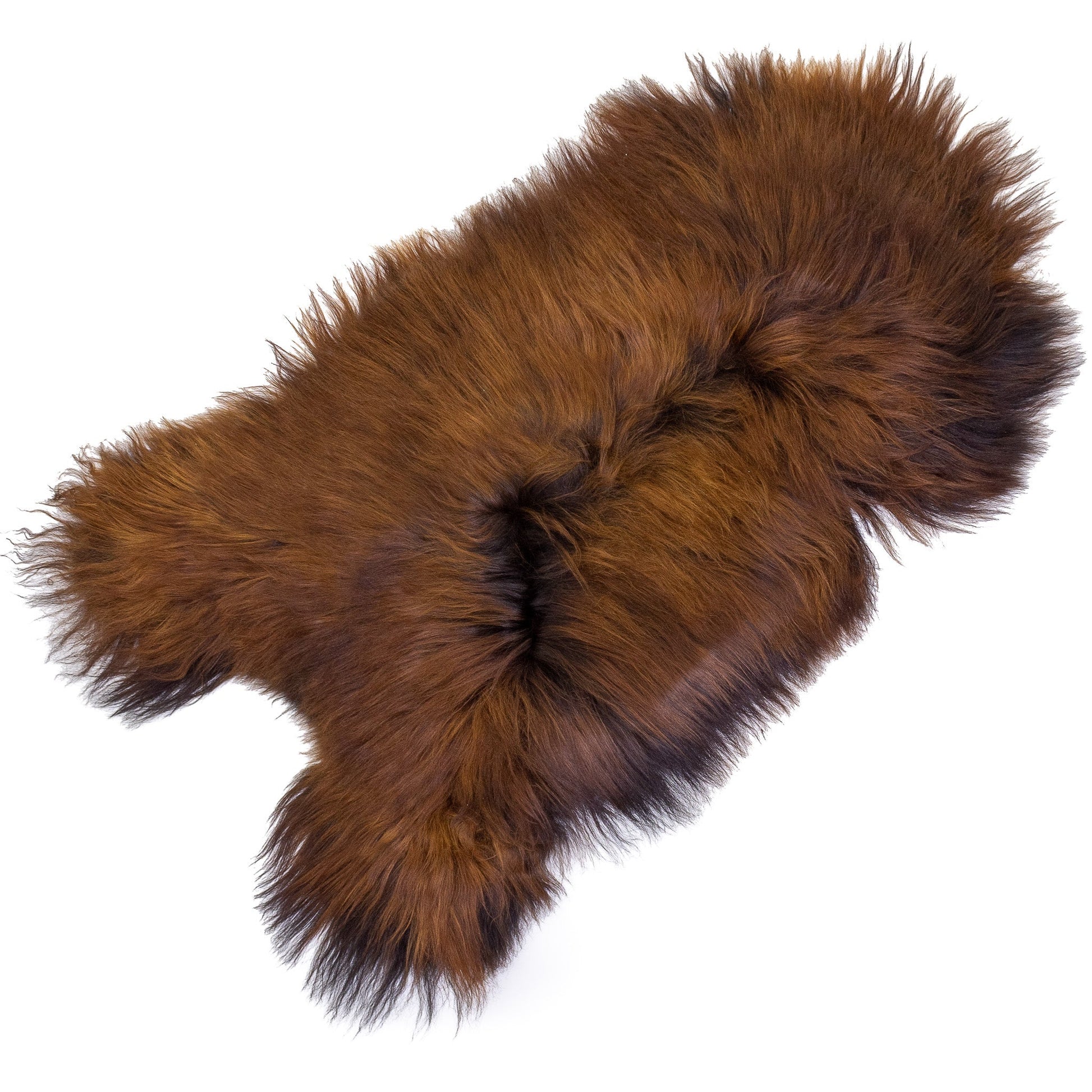 Black Lightened to Auburn Icelandic Sheepskin