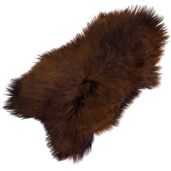 Black Lightened to Auburn Icelandic Sheepskin