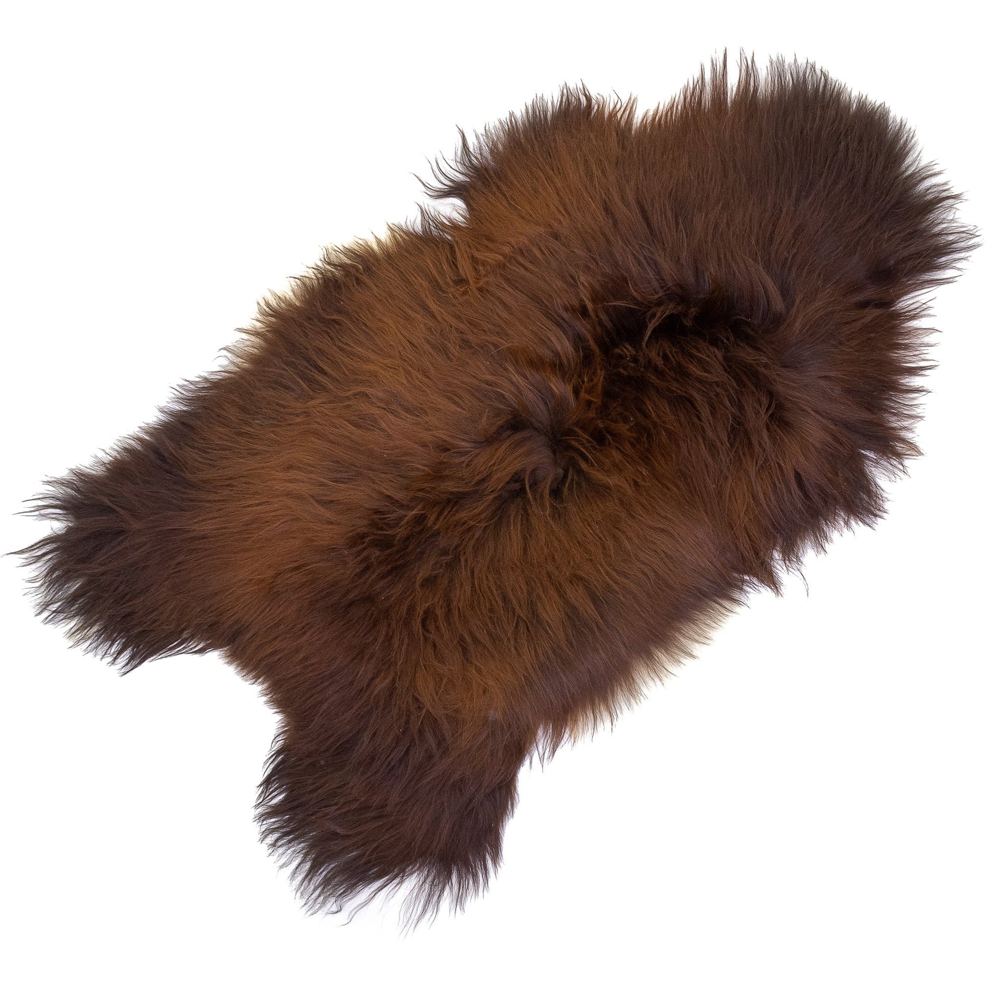 Black Lightened to Auburn Icelandic Sheepskin
