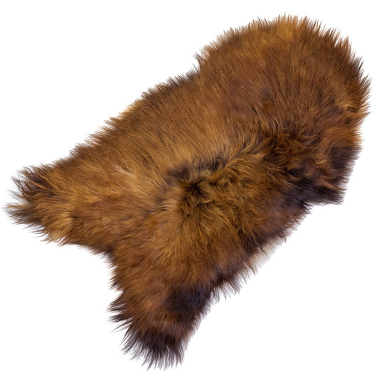 Large Black Lightened to Auburn Icelandic Sheepskin