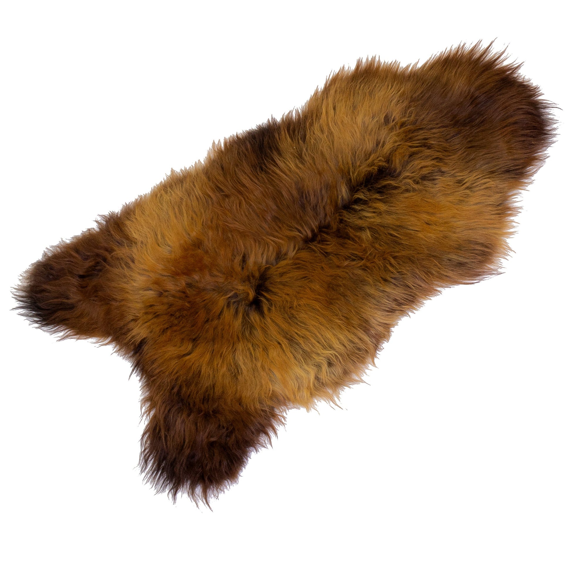 Black Lightened to Light Auburn Icelandic Sheepskin