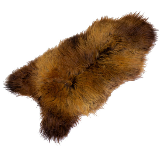 Black Lightened to Light Auburn Icelandic Sheepskin