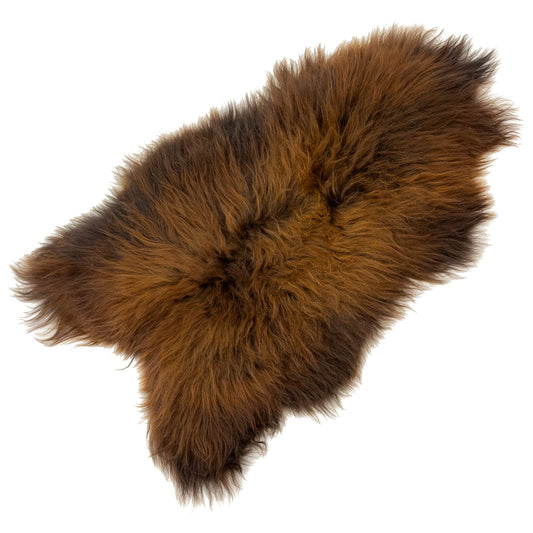 Black Lightened to Auburn Icelandic Sheepskin