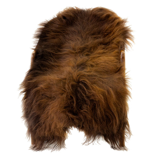 Black Lightened to Auburn Icelandic Sheepskin