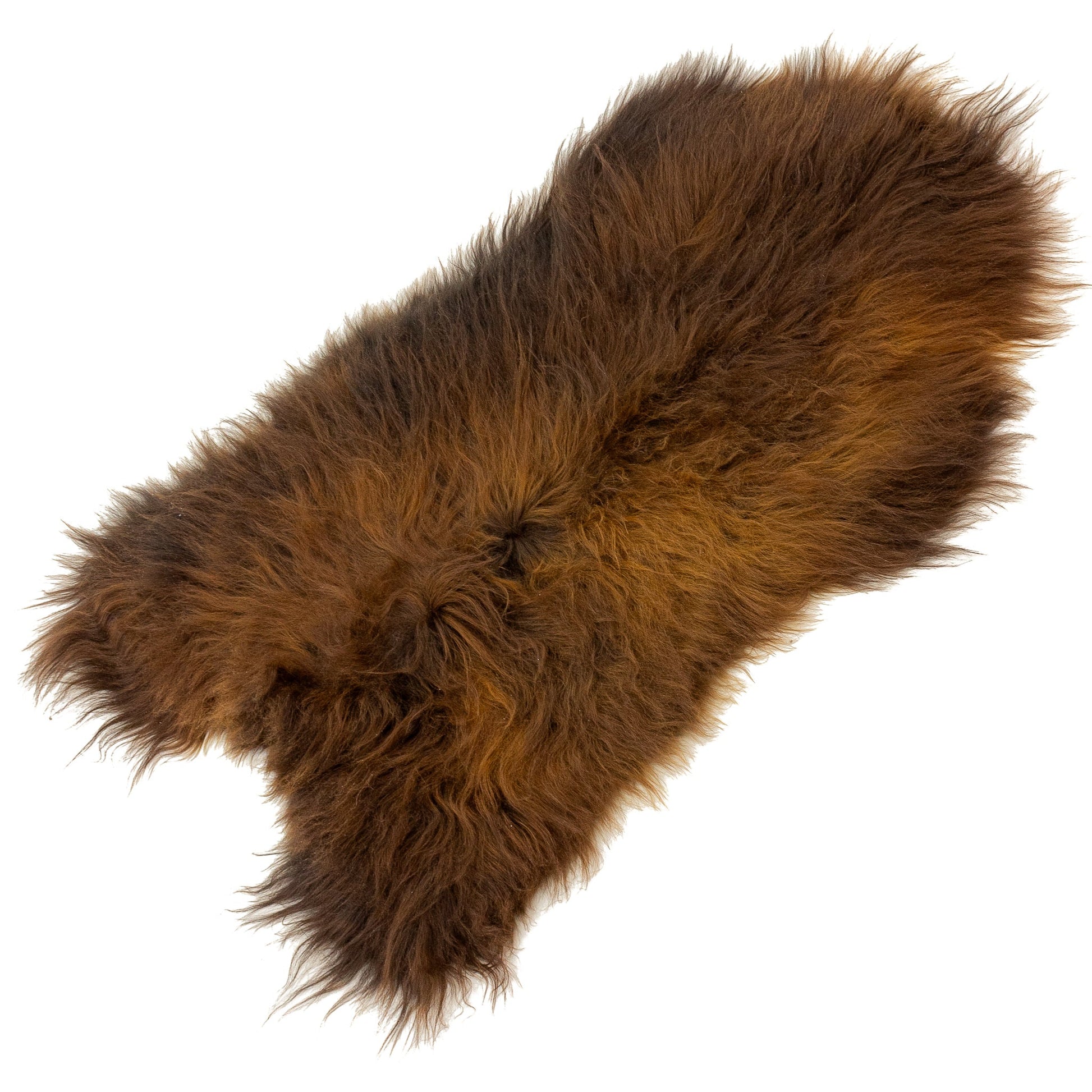 Black Lightened to Auburn Icelandic Sheepskin