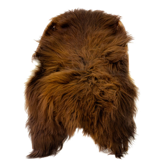 Black Lightened to Auburn Icelandic Sheepskin
