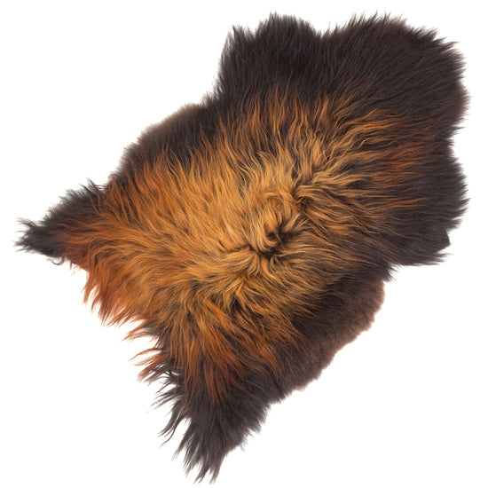 Black Lightened to Auburn Icelandic Sheepskin Rug