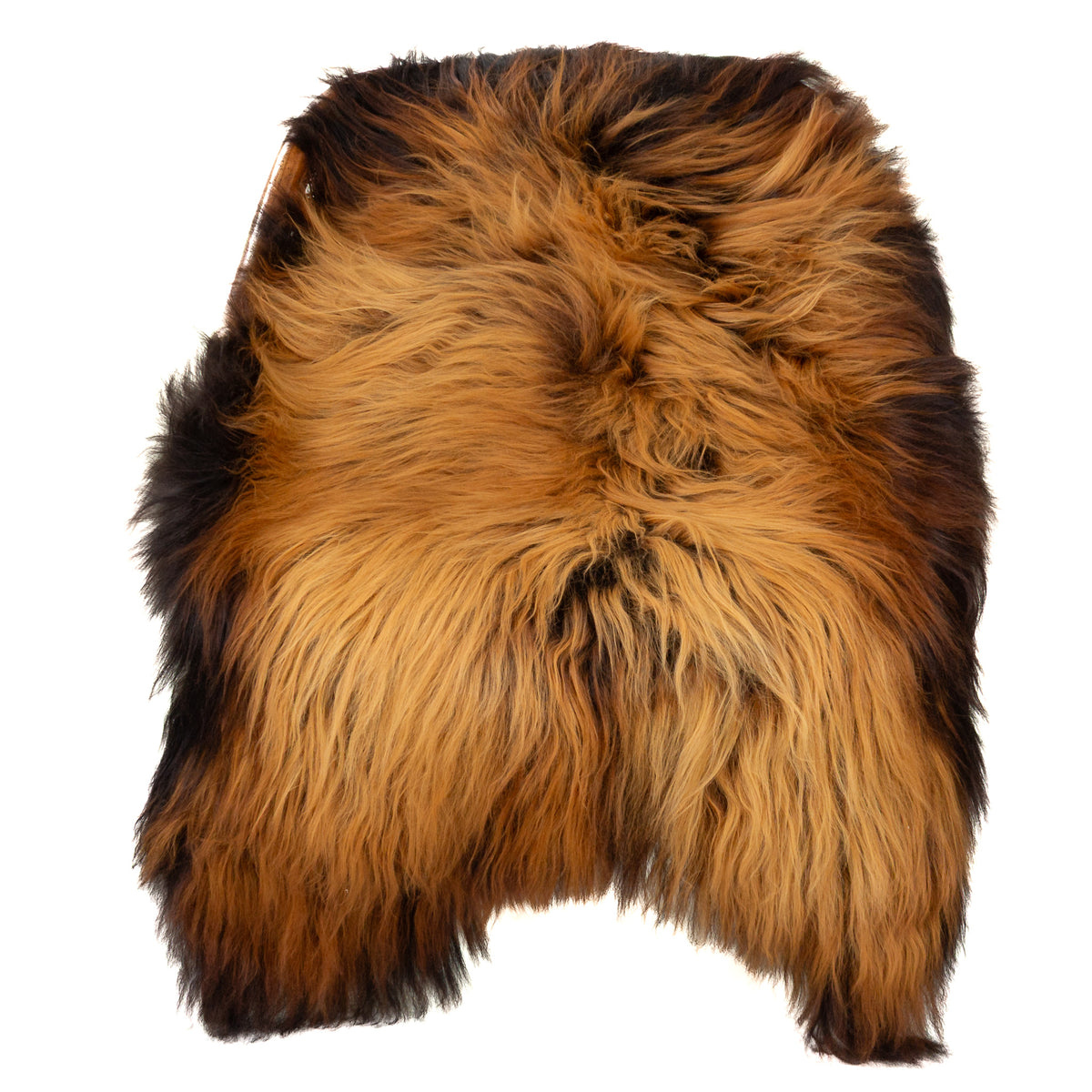 Black Lightened to Light Auburn Icelandic Sheepskin