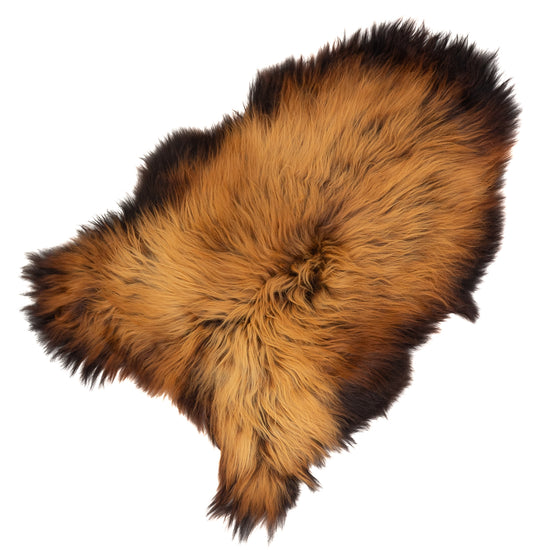 Black Lightened to Light Auburn Icelandic Sheepskin Rug
