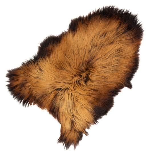 Black Lightened to Light Auburn Icelandic Sheepskin Rug