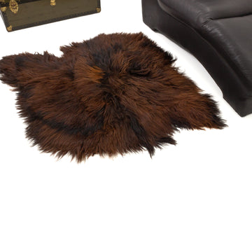 Black Lightened to Auburn Double Side-Side Icelandic Sheepskin