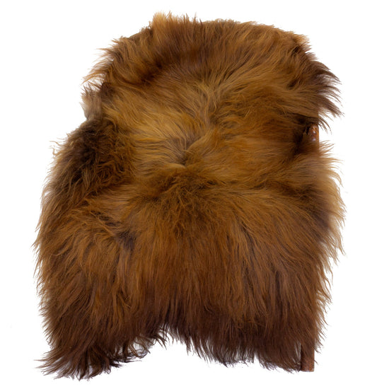 Black Lightened to Light Auburn Icelandic Sheepskin