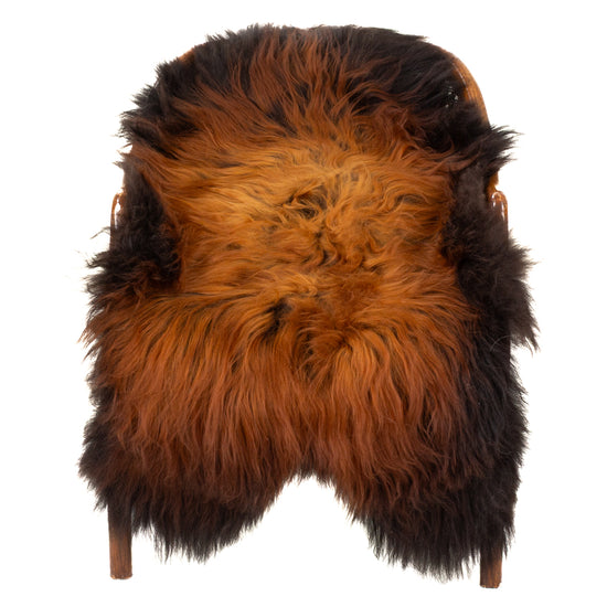 Black Lightened to Light Auburn Icelandic Sheepskin