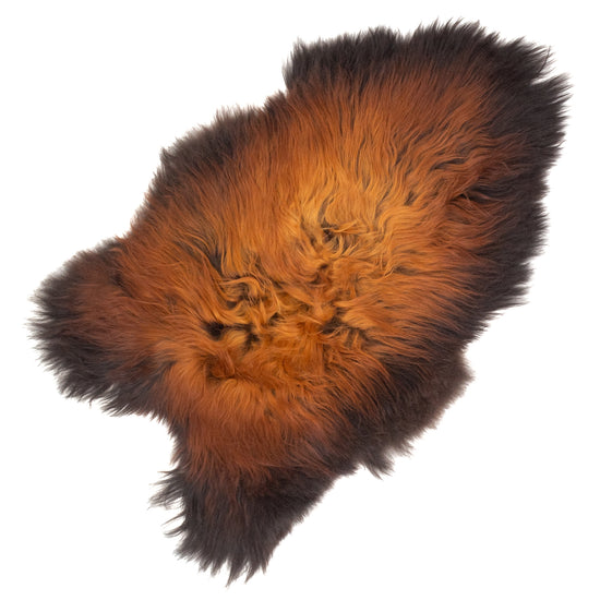 Black Lightened to Light Auburn Icelandic Sheepskin Rug