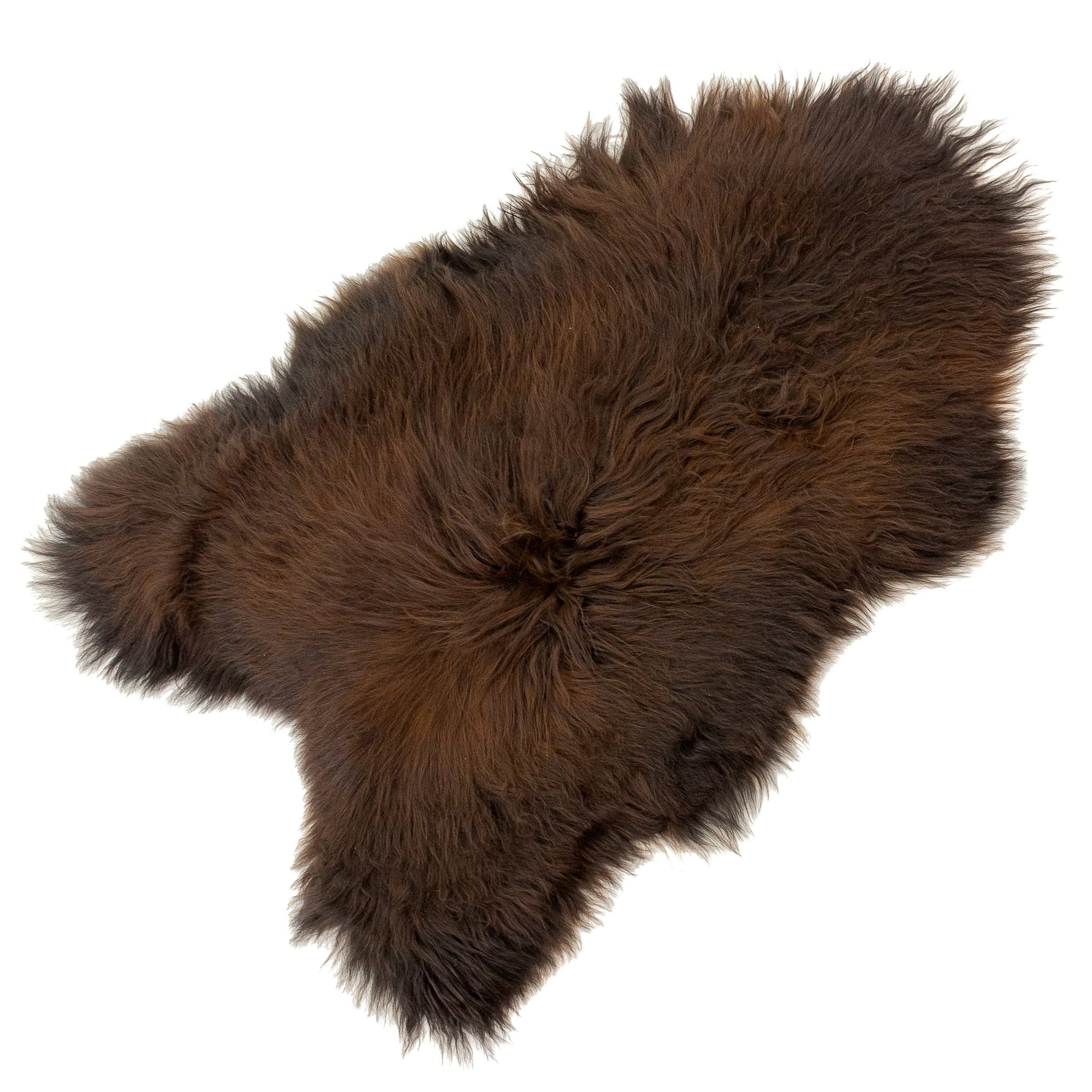 Black Slightly Lightened to Auburn Icelandic Sheepskin