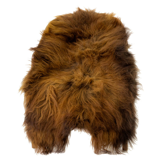 Black Strongly Lightened to Auburn Icelandic Sheepskin