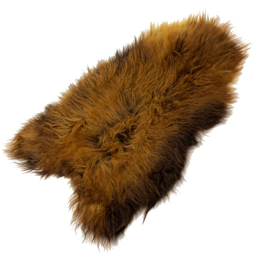 Black Strongly Lightened to Auburn Icelandic Sheepskin