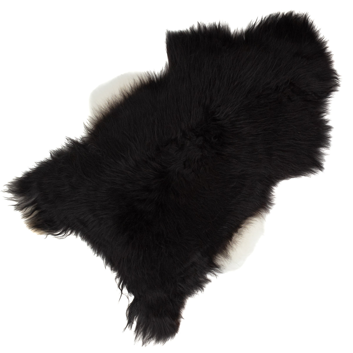 Black w Thin White Sides Icelandic Sheepskin Rug
