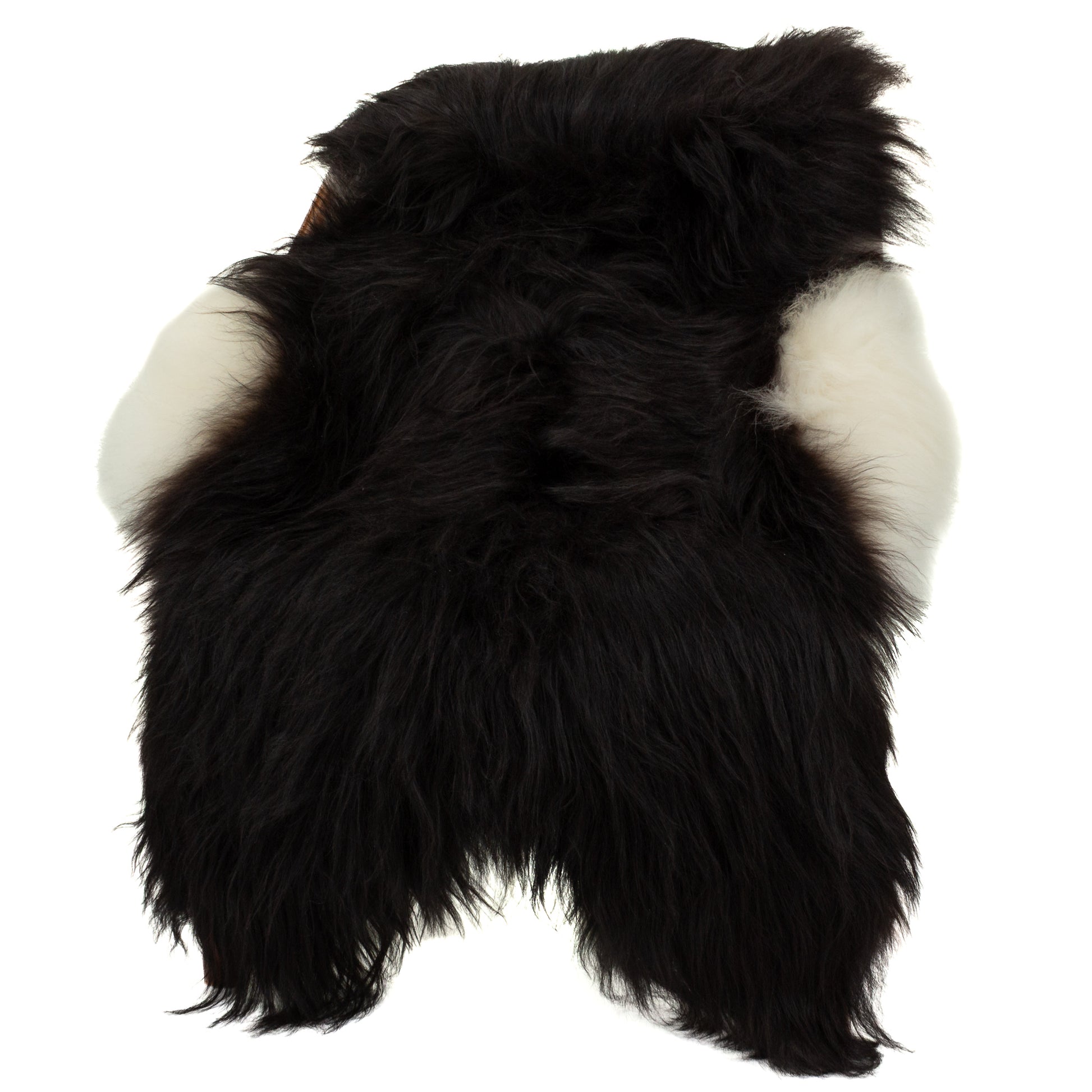 Black w Some White on Sides Icelandic Sheepskin