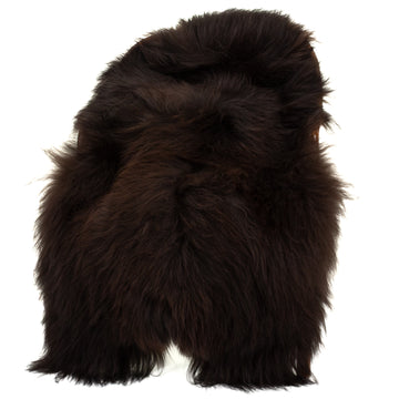 Blackish Brown Icelandic