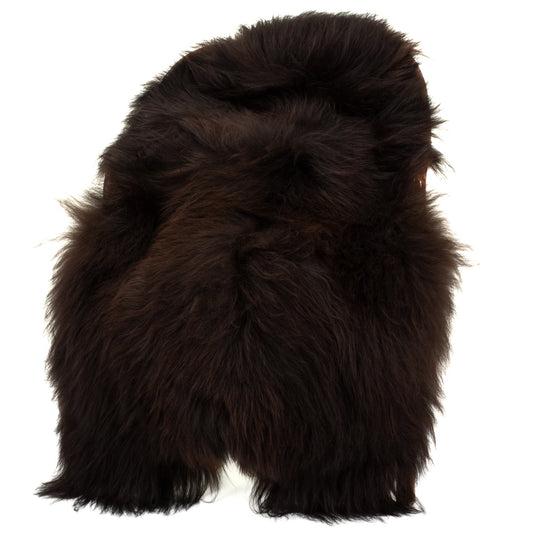 Blackish Brown Icelandic