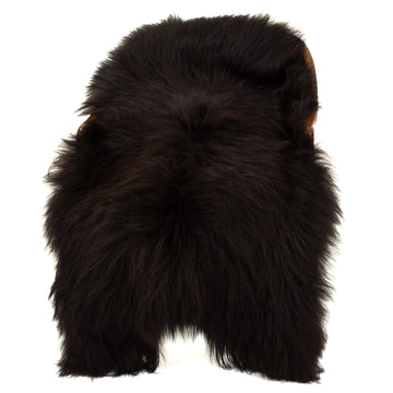 Blackish Brown w Some White Icelandic Sheepskin