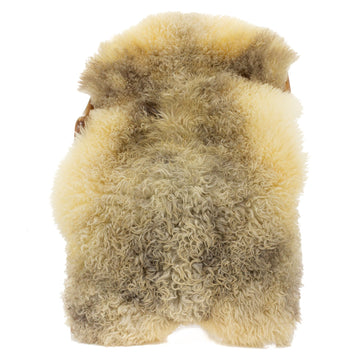 Curly Copper White and Gray Mix Long Wool Swedish Sheepskin
