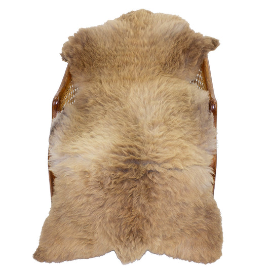 Cushy Dark to Light Mottled Sheepskin