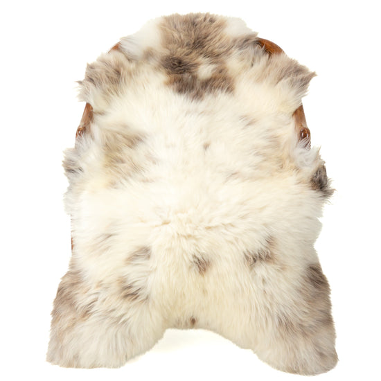 Cushy Shorter Wool Ivory White w Brown Sheepskin