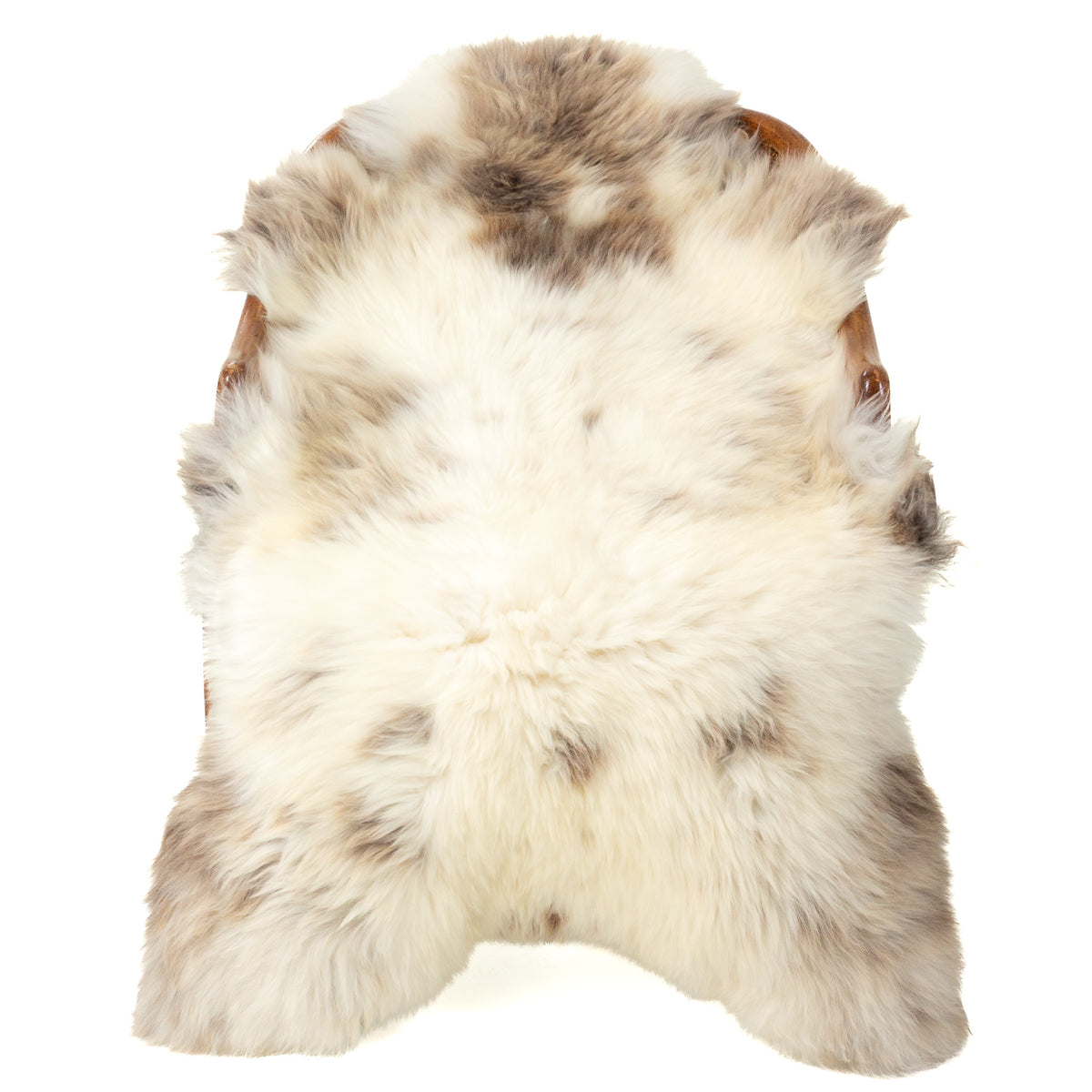Cushy Shorter Wool Ivory White w Brown Sheepskin