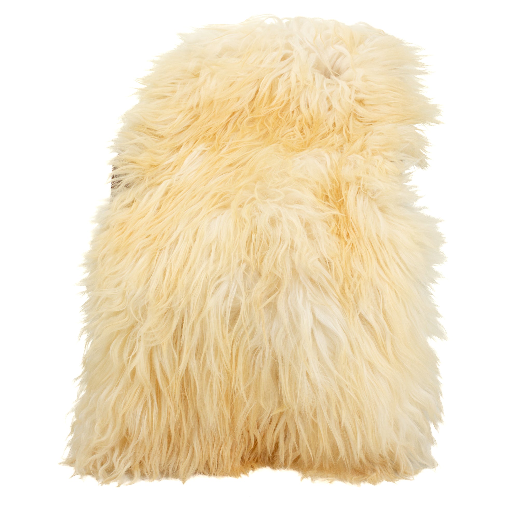 Huge Long Coarse Wool Golden Ivory Mottled Heidschnucke Sheepskin
