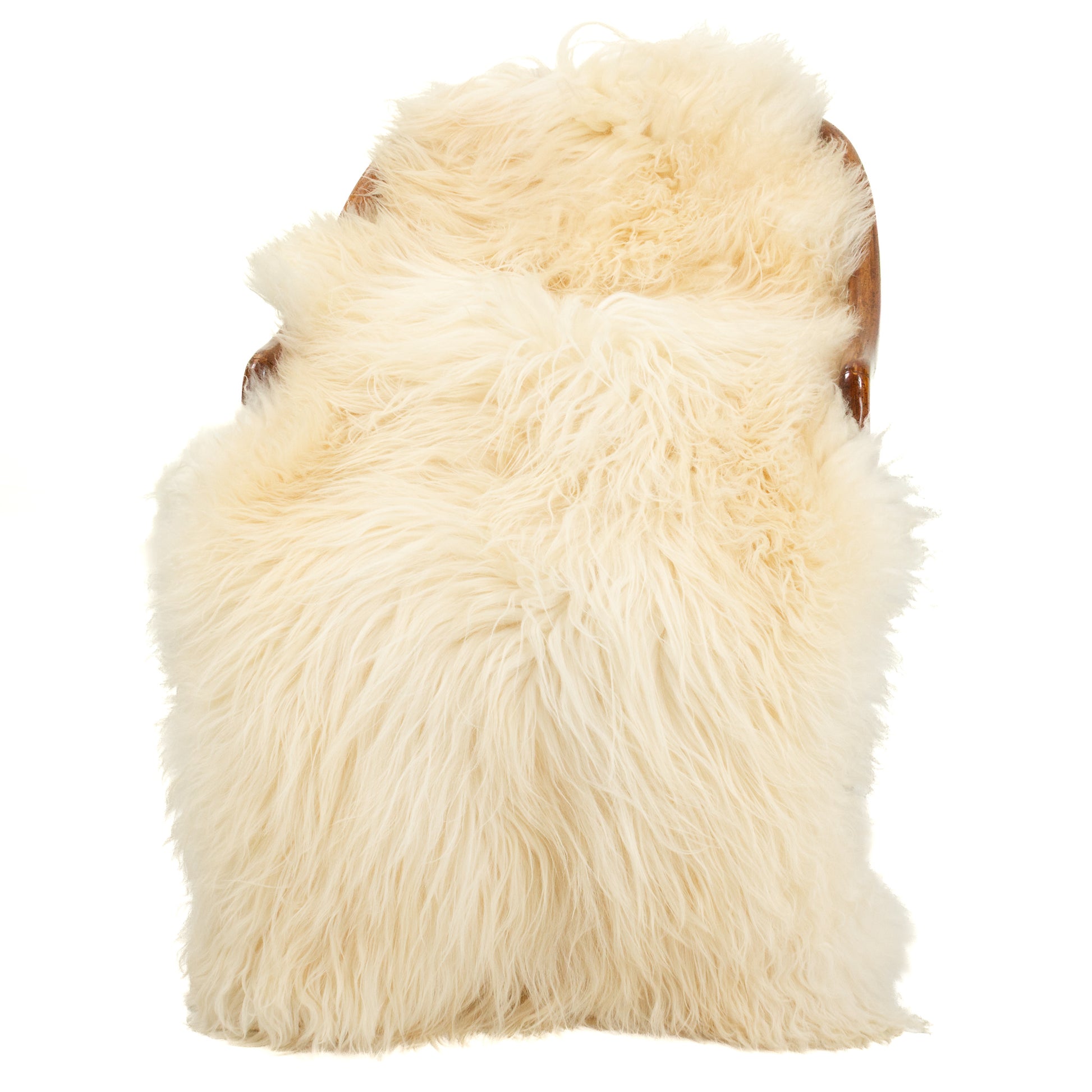 Huge Long Coarse Wool Ivory White Heidschnucke Sheepskin