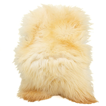 Huge Thick Coarse Long Wool Gold Copper Ivory  Heidschnucke Sheepskin