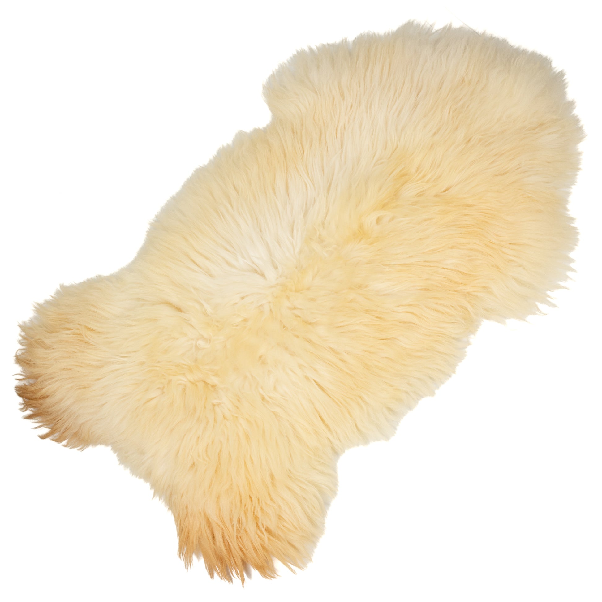 Huge Thick Coarse Long Wool Gold Copper Ivory  Heidschnucke Sheepskin Rug
