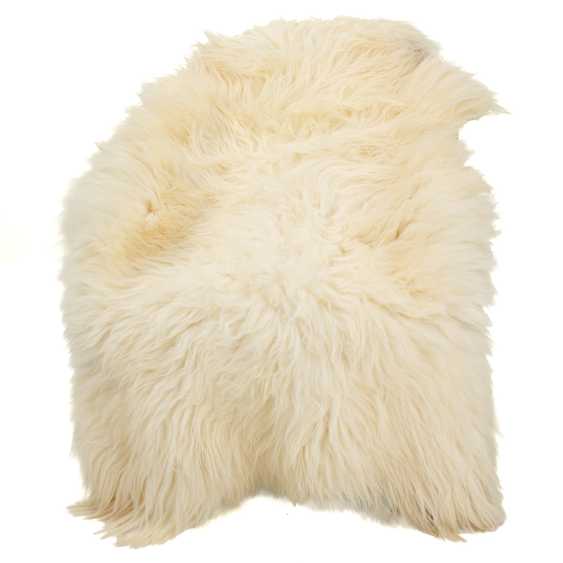 Huge Long Coarse Wool Wide Ivory White Heidschnucke Sheepskin