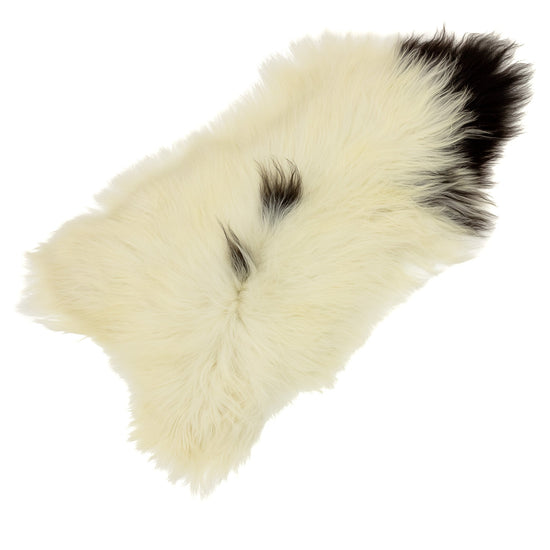 Ivory White w Black Icelandic Sheepskin