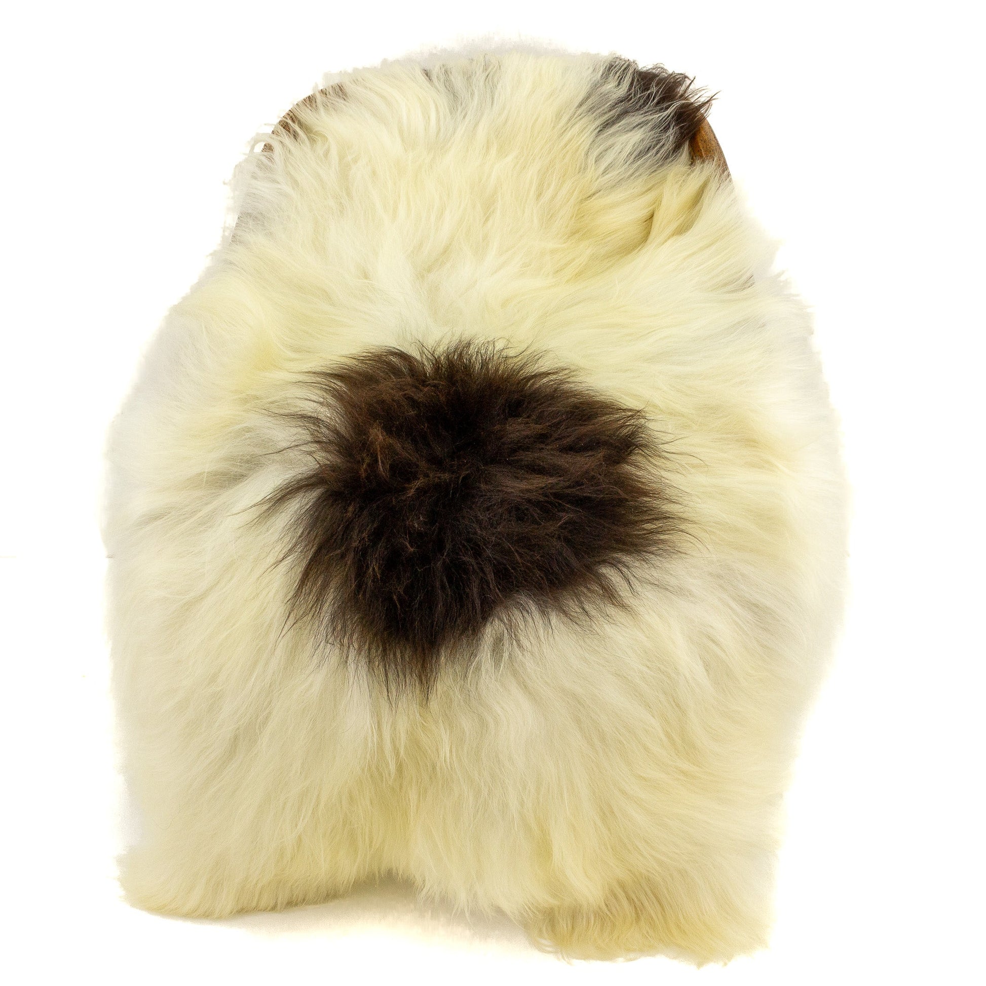 Large Ivory White w Blackish Brown Icelandic Sheepskin
