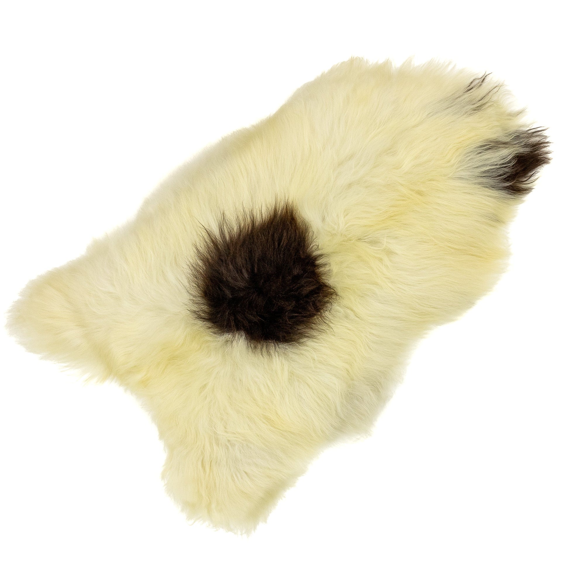 Large Ivory White w Blackish Brown Icelandic Sheepskin