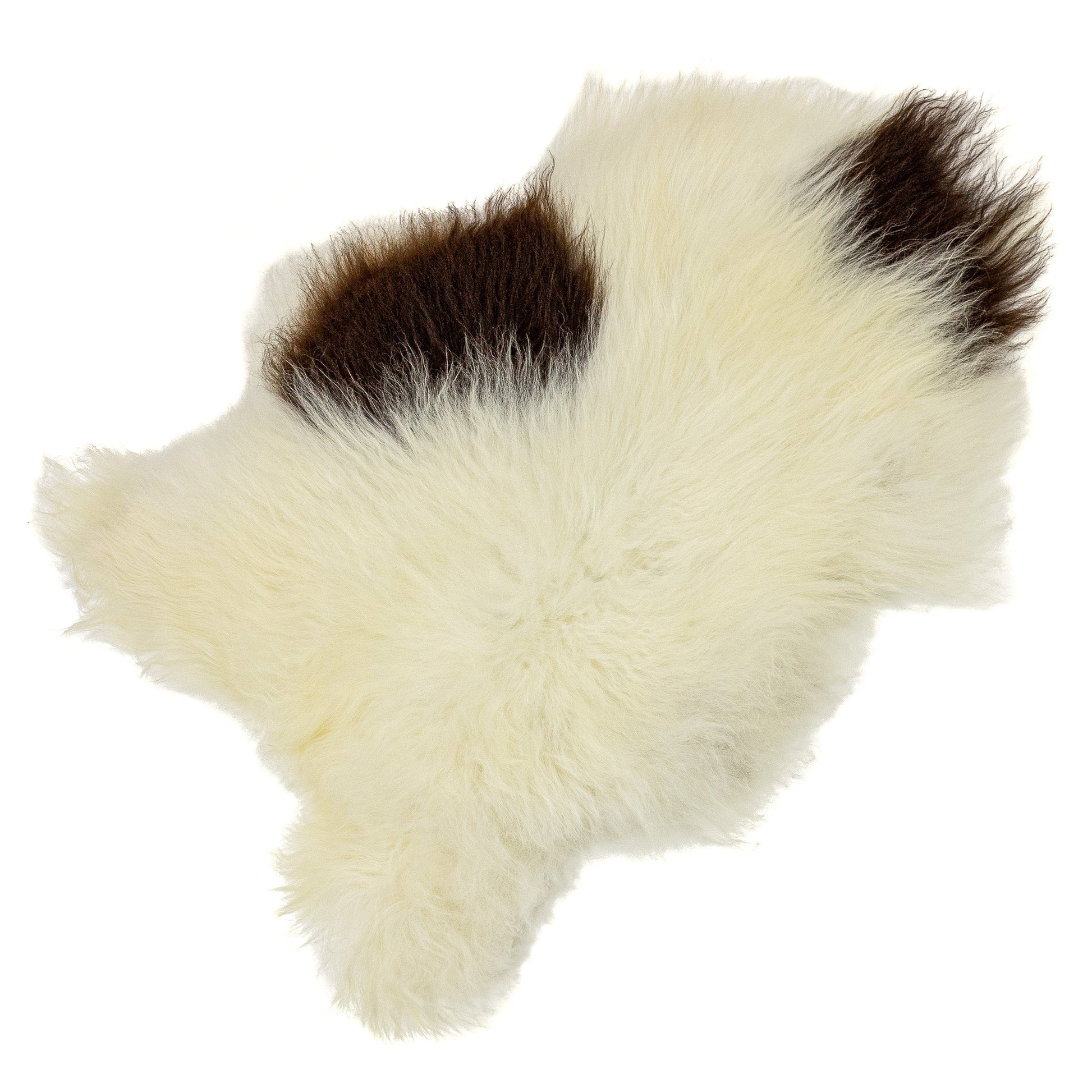Large Wide Ivory White w Brown Icelandic Sheepskin
