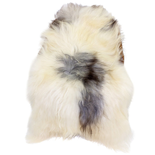 Large Ivory White w Gray Icelandic Sheepskin