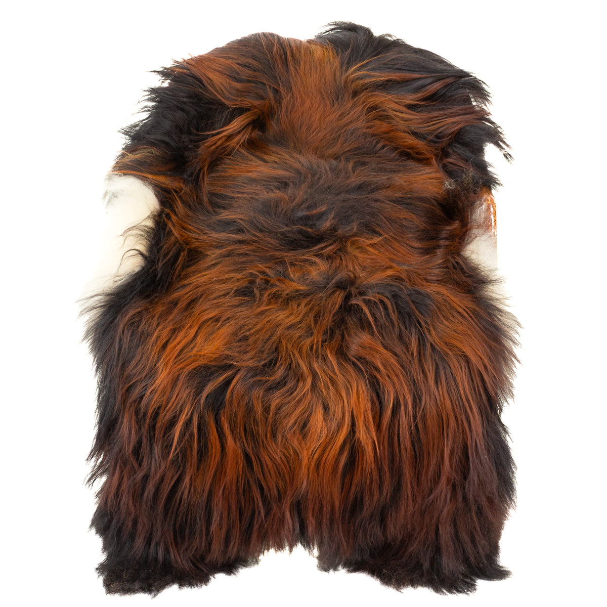 Large Coarse Wool Black Lighted to Dark Auburn Icelandic Sheepskin
