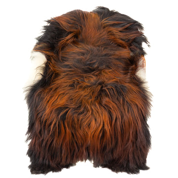 Large Coarse Wool Black Lighted to Dark Auburn Icelandic Sheepskin