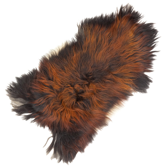 Large Coarse Wool Black Lighted to Dark Auburn Icelandic Sheepskin Rug