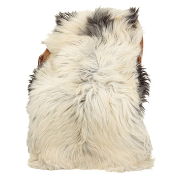 Large Coarse Long Thick Wool Ivory White w Black Heidschnucke Sheepskin