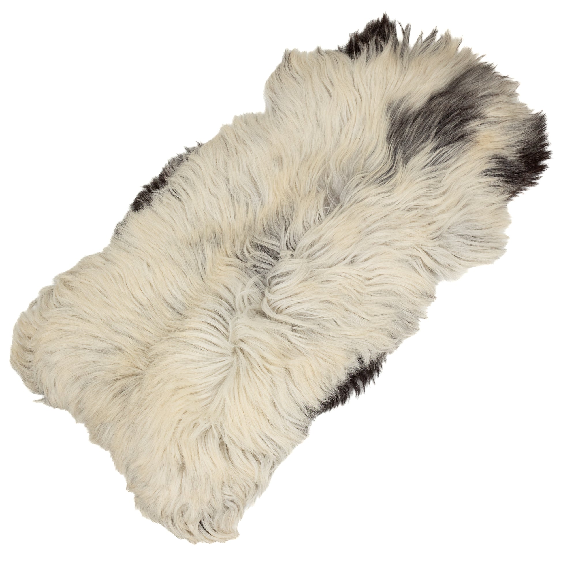 Large Coarse Long Thick Wool Ivory White w Black Heidschnucke Sheepskin Rug