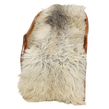 Large Coarse Long Wool Ivory White Gray Mix Heidschnucke Sheepskin