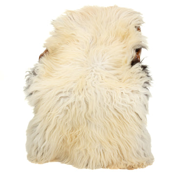 Large Coarse Long Thick Wool Dark Ivory White w Black Heidschnucke Sheepskin